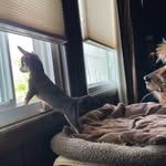 Deb Curley - @deb.curley - Instagram