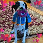 Deb curran - @deb_curran_12 - Instagram