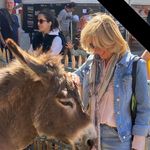 Debra Curran - @debra_curran - Instagram