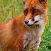 Deb Currier - Facebook