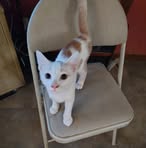 Debbie Custer - Facebook
