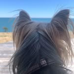 Deb Cyr - @featherangel17 - Instagram