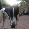 Deborah Dagg - @deborahdagg2 - TikTok