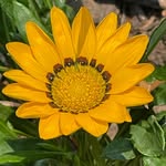 Deb Dahl - @ddahl68 - Instagram