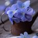 Deb Dailey - Facebook