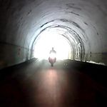 Deb Dailey - @ddailey2114 - Instagram