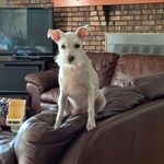 Debra McCary Dailey - @deb.dailey1 - Instagram