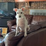 Debra McCary Dailey - @deb_dailey - Instagram