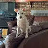 debramccarydailey - @debramccarydailey - TikTok