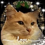 Deb Dale - @debdale57 - Instagram