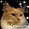 deb_dale - @deb_dale - TikTok