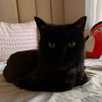 Deb Talia - Facebook