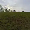 debdale_horses💘 - @debdale_horses03 - TikTok