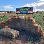 Debdale lane pumpkin patch - @debdalelanepumpkin - Instagram