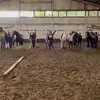 Debdale riding school - @official_debdale - TikTok