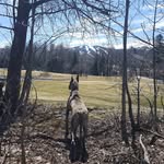 Deb Dalton - @debinkillington - Instagram