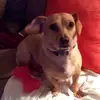 debdalton0 - @debdalton0 - TikTok