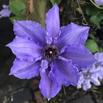 Deb Daniel - @debdaniel71 - Instagram