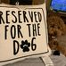 Deb Daniels - Facebook