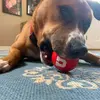 user7991425081583 - @debdanielson - TikTok