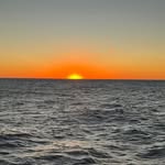 Dave Deb - @debdavey62 - Instagram