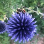 Deborah Davidson - @debdavidsonrealtor - Instagram