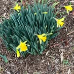 Deb Dawson - @deb040612 - Instagram