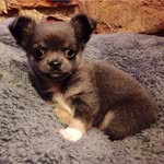 Deb Day - @debday98 - Instagram