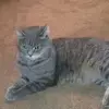 Deb Day - @deb.day0 - TikTok