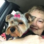 Deb Day - @debday968 - Instagram