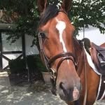 Deb Dayton - @dwdayton - Instagram