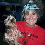 Debi Gillum Dayton - @yorkies6560 - Instagram