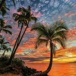 Deb Dellinger - @debjd - Instagram