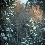 Debbie Dellinger - @debdellinger - Instagram