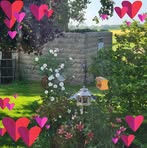 Deb Delong - Facebook