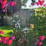 Deb Delong - @deb.delong.10 - Instagram