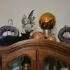 Deb DeLong - @deb.delong - TikTok