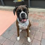 Debi DeLong - @delongdebi - Instagram