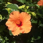 Deb Delp - @nursedebd - Instagram
