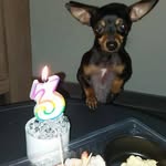 Delph Deb - @delphine.deb62 - Instagram