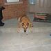 Debbie Demers - Facebook