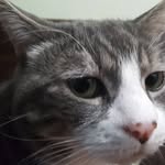 Deb Dennis - @deb.dennis.98 - Instagram