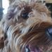 Deb Dennis - Facebook