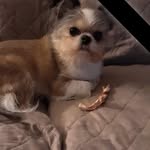 Debra Denton (Deb) - @debra_denton_deb46 - Instagram