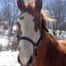 Deb Desmond - Facebook