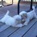 Deb Deters - Facebook