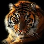 Deb De Vries - @deb_insta1 - Instagram