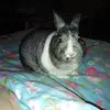 Deb De Vries - @debdevries0 - TikTok