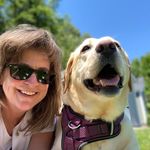 debdillon0130 - @debdillon0130 - Instagram