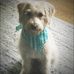 Deb Douglas - Facebook